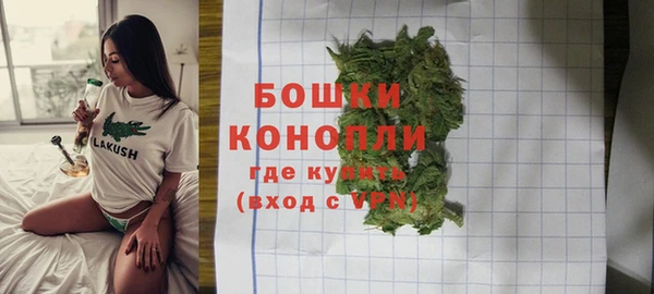 ГАЛЛЮЦИНОГЕННЫЕ ГРИБЫ Липки
