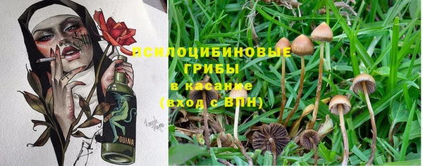 меф Алексин