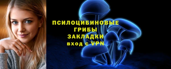 тгк Алзамай