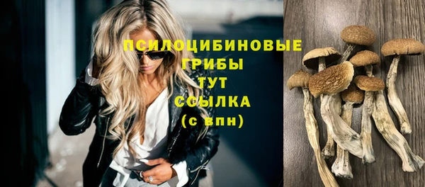 ГАЛЛЮЦИНОГЕННЫЕ ГРИБЫ Липки