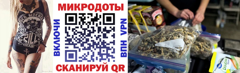 Галлюциногенные грибы Psilocybine cubensis  kraken как войти  Лесосибирск 