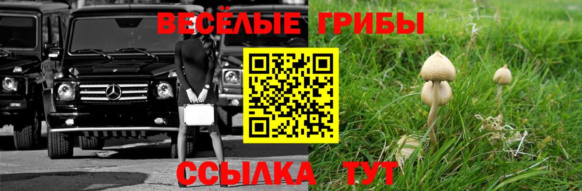 Лесосибирск  Галлюциногенные грибы прущие грибы  Псилоцибиновые грибы GOLDEN TEACHER  Вход с VPN 